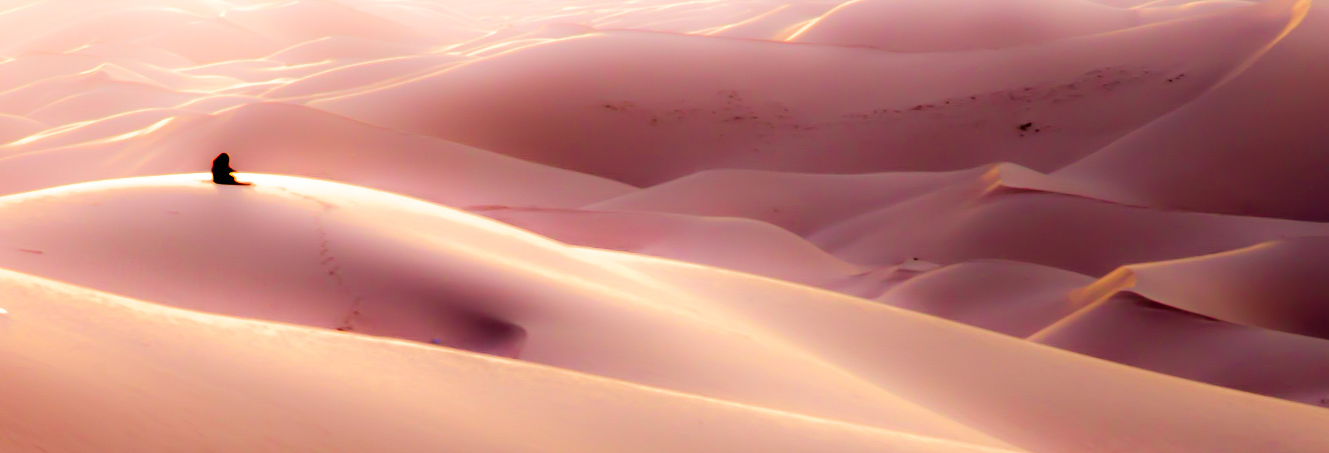 solitude dunes