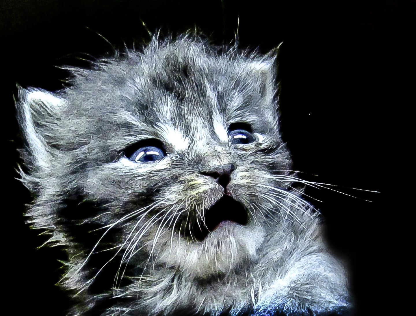 This is Itty Terrified. Expression as if a hawk is just moments away from snatching him up.  Wide eyed looking up and left with mouth open as if gasping. Just the face with a black background...it's adorable. I have skeleton fish pictures from an aquarium that i pair with Itty Terrified so it appears that Itty is is looking at the skeletons terrified. I call those Itty's Nightmare. Oh, one of the skeletons is an eel looking straight ahead with it's body frozen in oscillation as if it swimming right at you. It's pretty cool; scary for sure. There's also one with the eel in the center  with the other fish (oh, pretty sure the other fish is a piranha, so it's pretty teethy) mirrored those two about the eel. Symmetrically pleasing composition. Anyhooooo