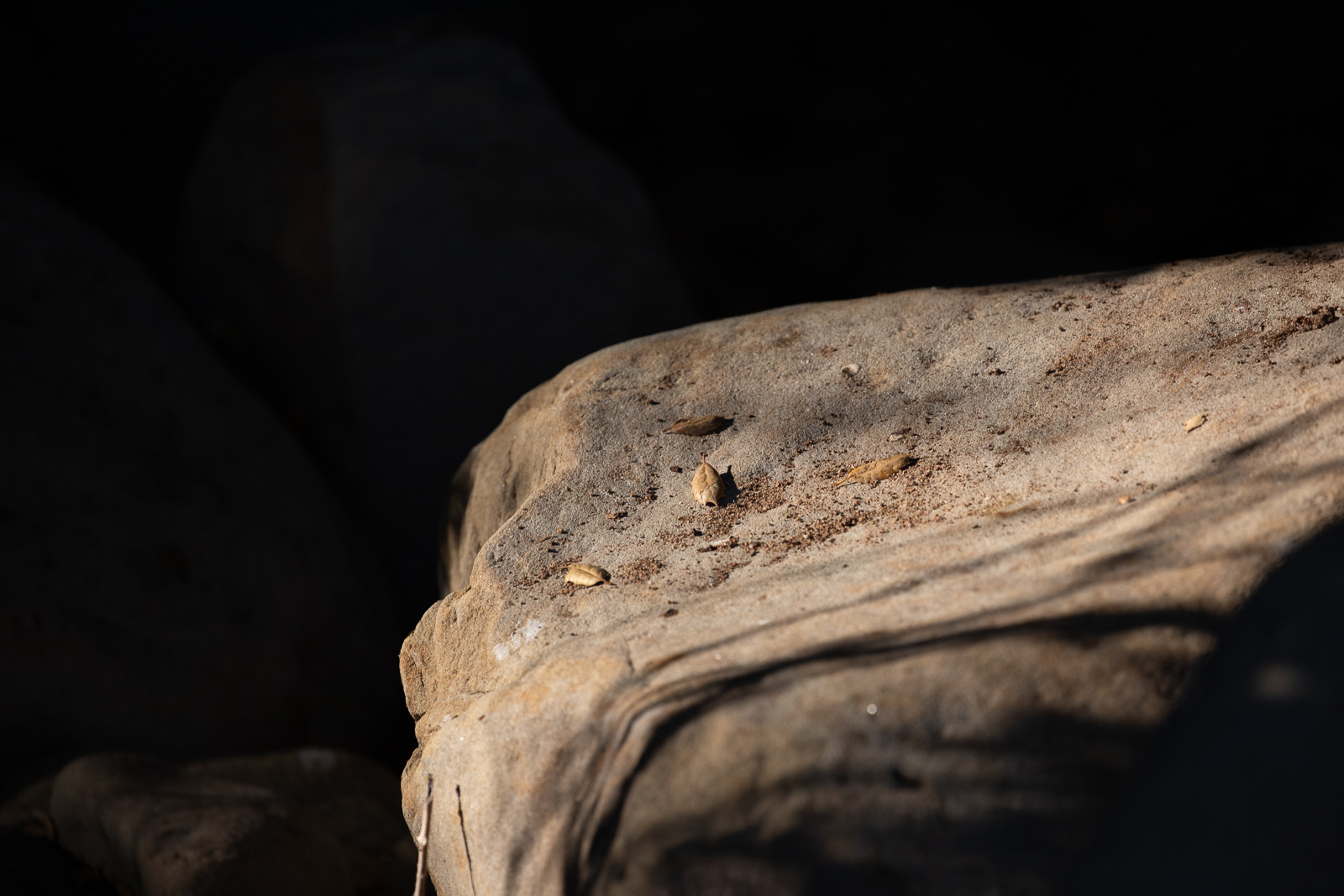 a sunlit boulder with black background...very dramtaic.