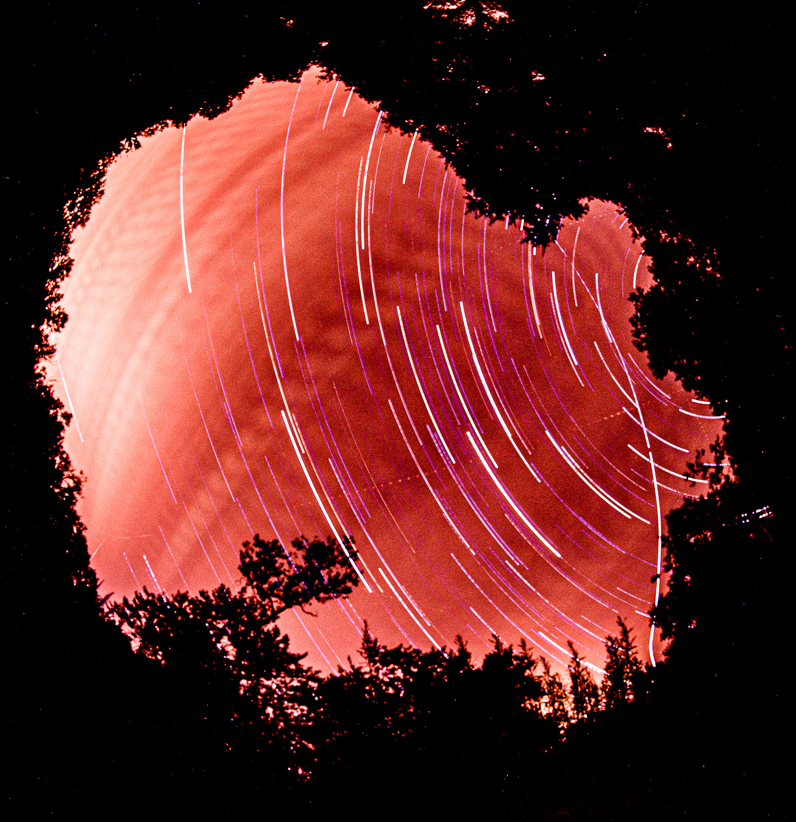 the sixth star trail night; fish eye lense; looks like a globe, as if it's a planet wrapped in rings and land masses the shapes of trees.